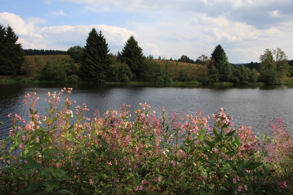 Natural landscape