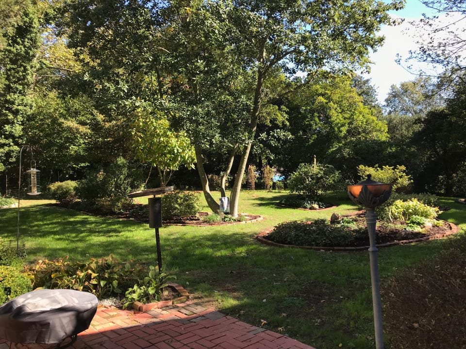 Garden, Garden
