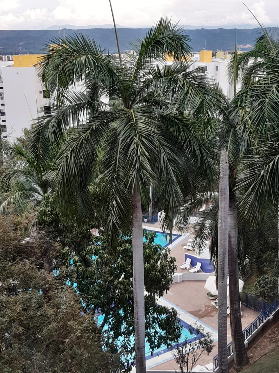 Pool view