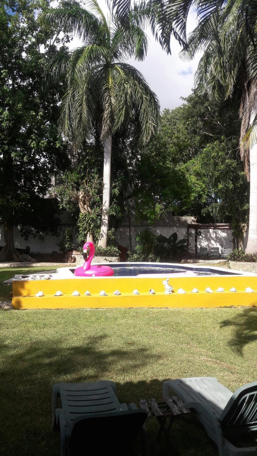 Swimming pool