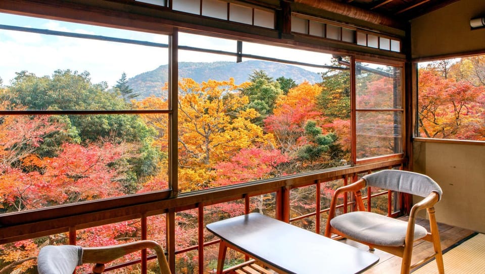 View (from property/room), Garden view