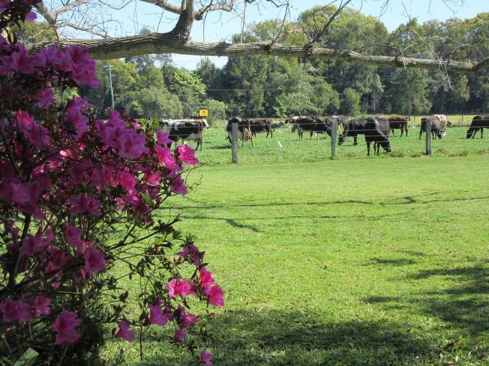 Natural landscape, Garden