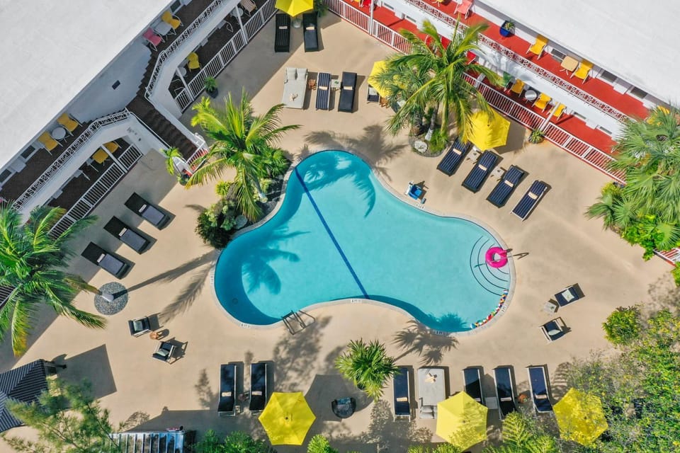 Bird's eye view, Swimming pool, sunbed