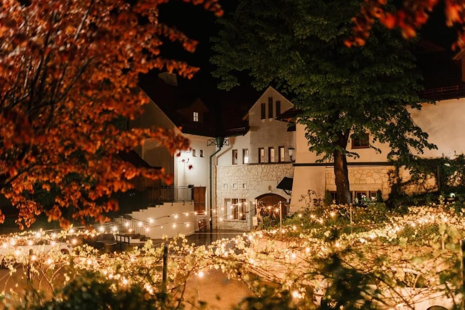 Property building, Night, Garden view