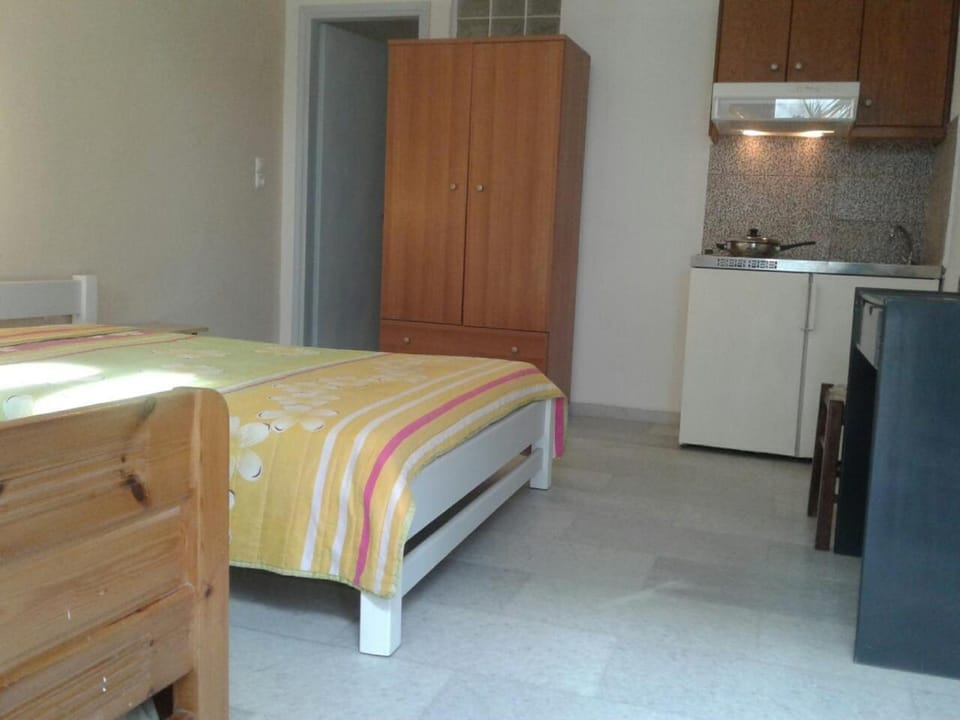 Bed, Kitchen or kitchenette, Photo of the whole room, Bedroom