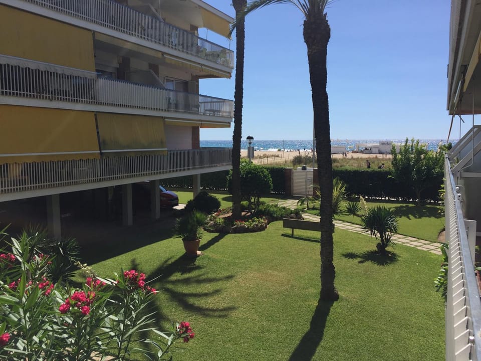 Garden, Beach