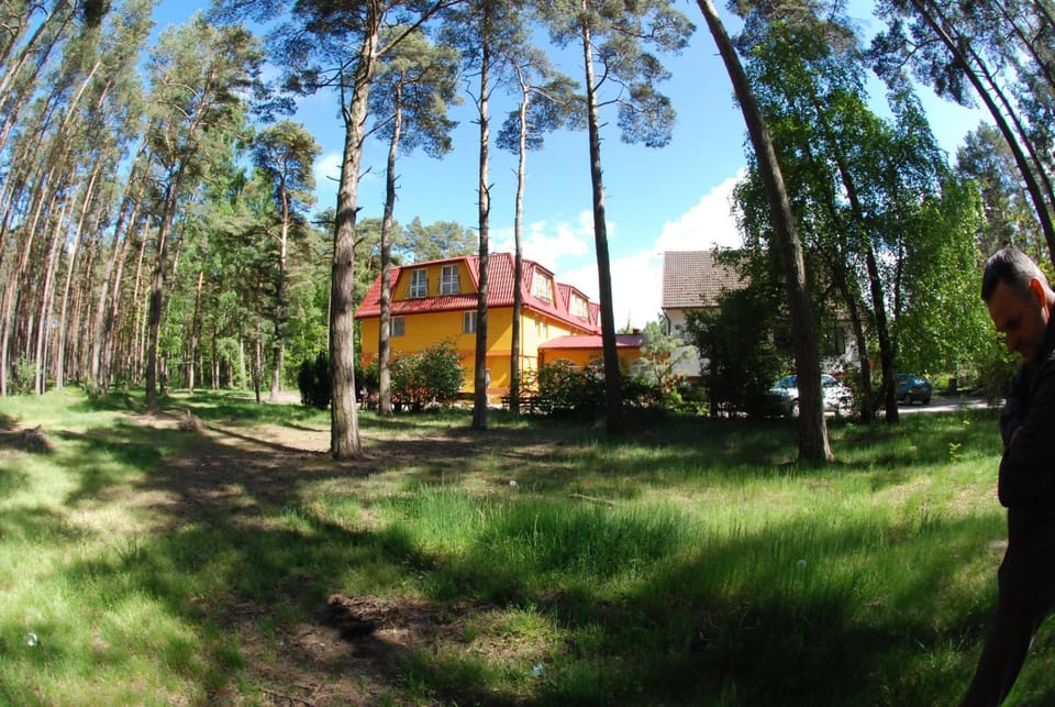 Property building, Spring, Day, Natural landscape