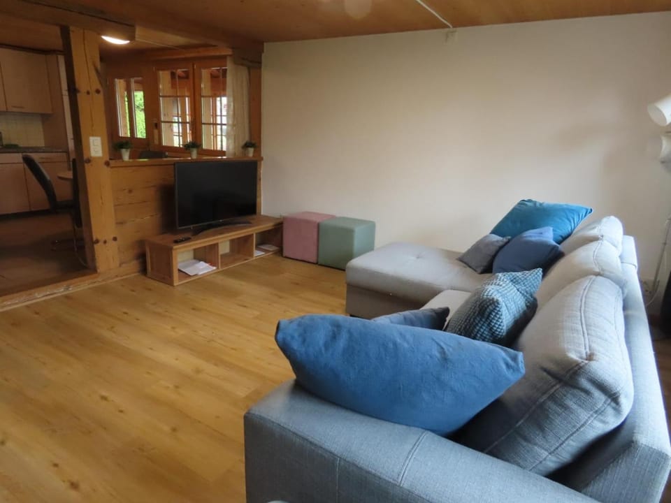 TV and multimedia, Living room