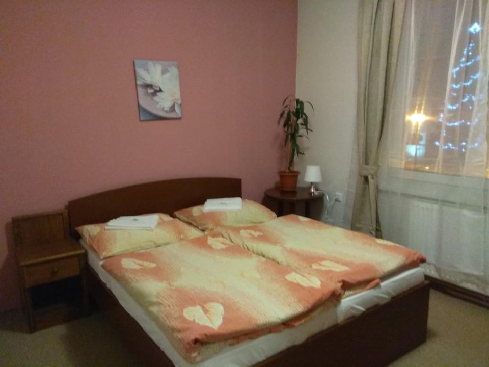 Hotel Lidový dům Hotel in Czechia