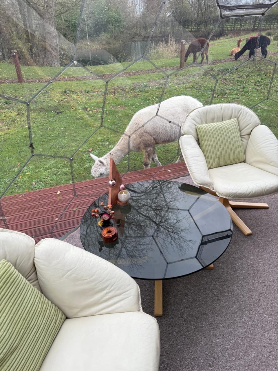 Garden view