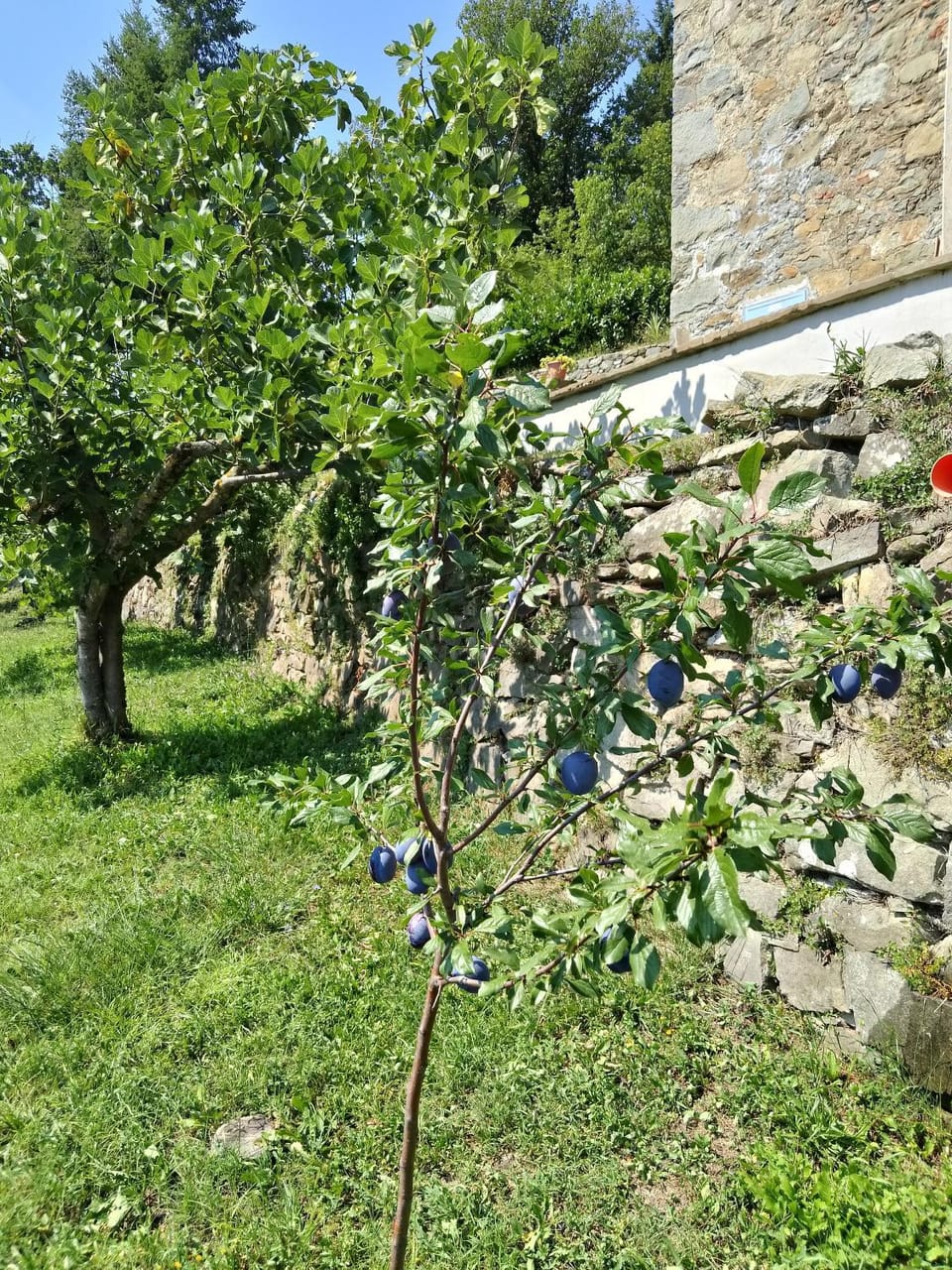 La casa del girasole House in Emilia-Romagna
