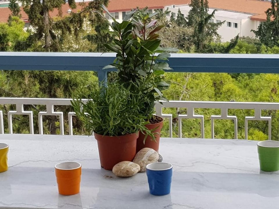 Balcony/Terrace, Garden view