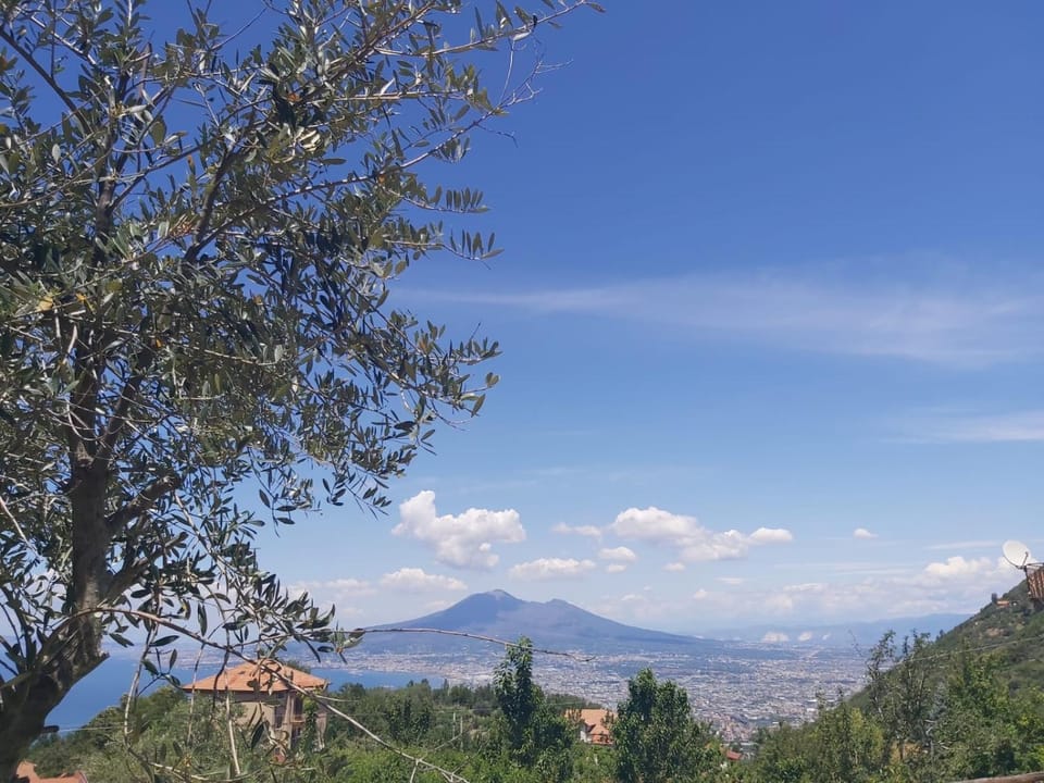 Day, Natural landscape, Mountain view, Pool view