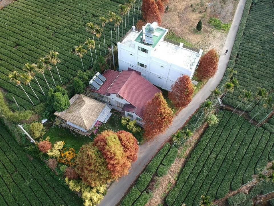 朵麗絲森林 Nature lodge in Fujian