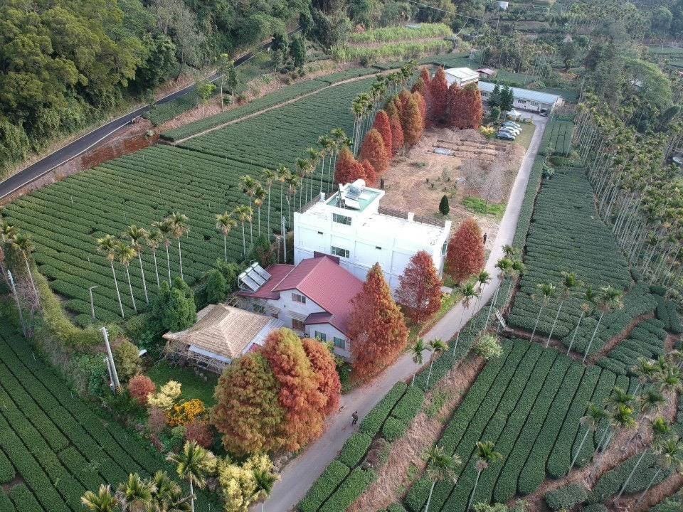 朵麗絲森林 Nature lodge in Fujian
