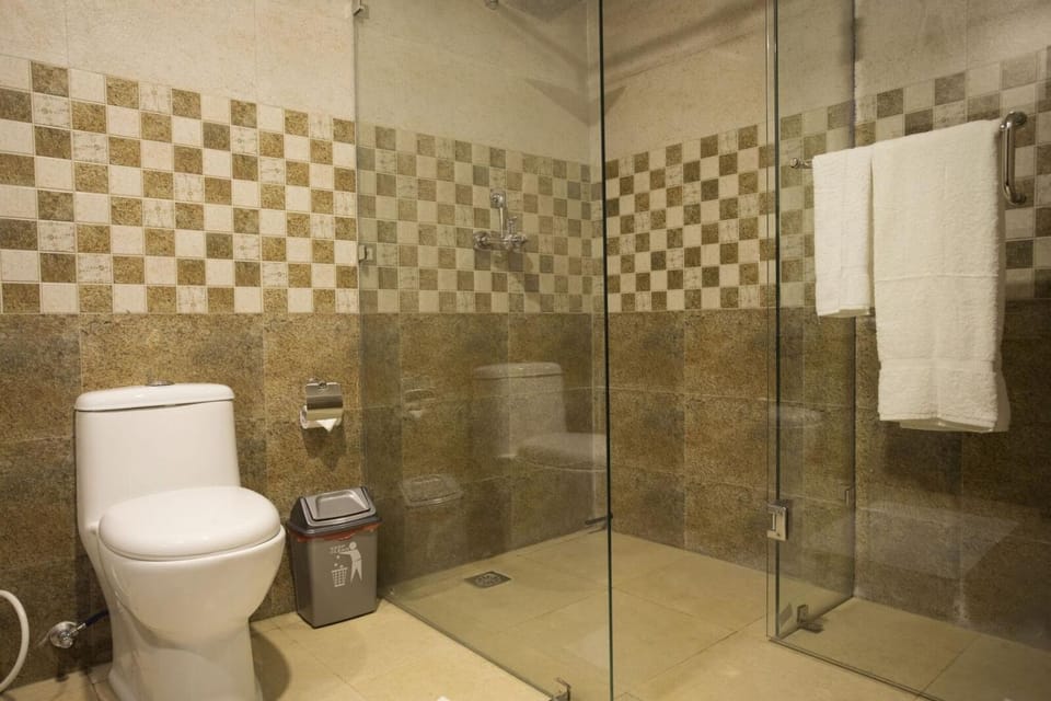 Shower, Toilet, Bathroom, towels