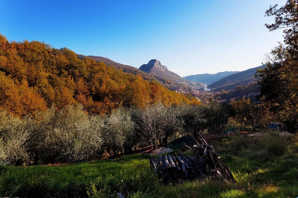 Natural landscape