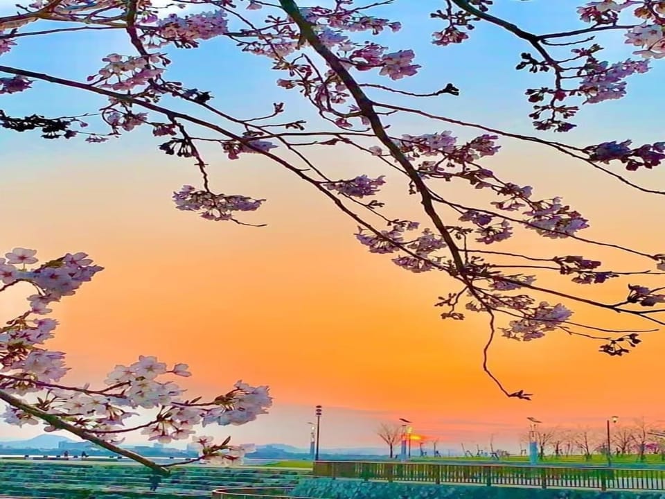 Natural landscape