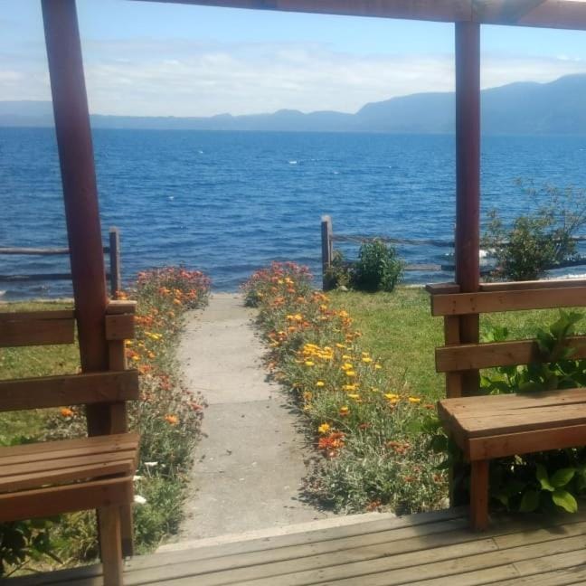 Cabañas Regina Nature lodge in Pucon