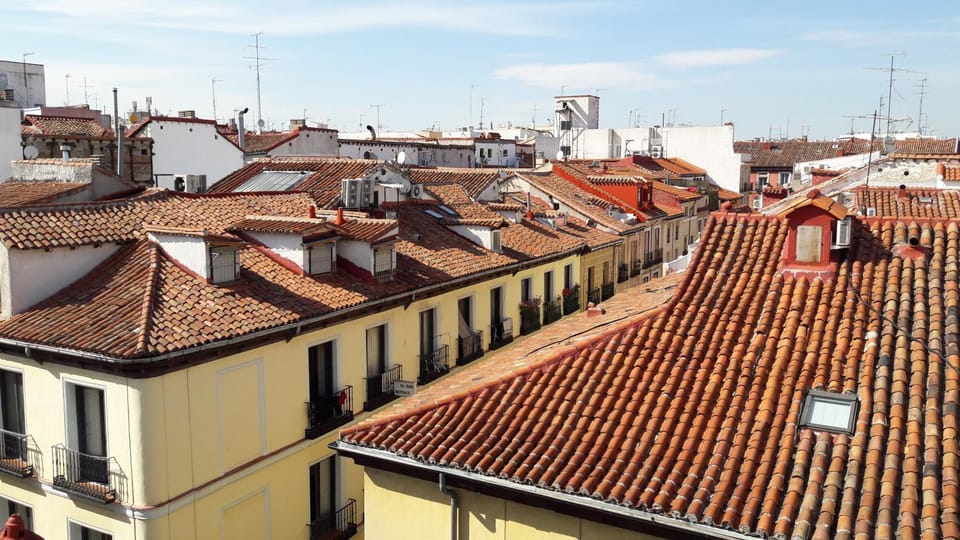 City view, Area and facilities