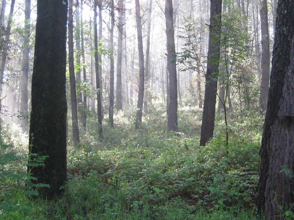 Natural landscape, Hiking
