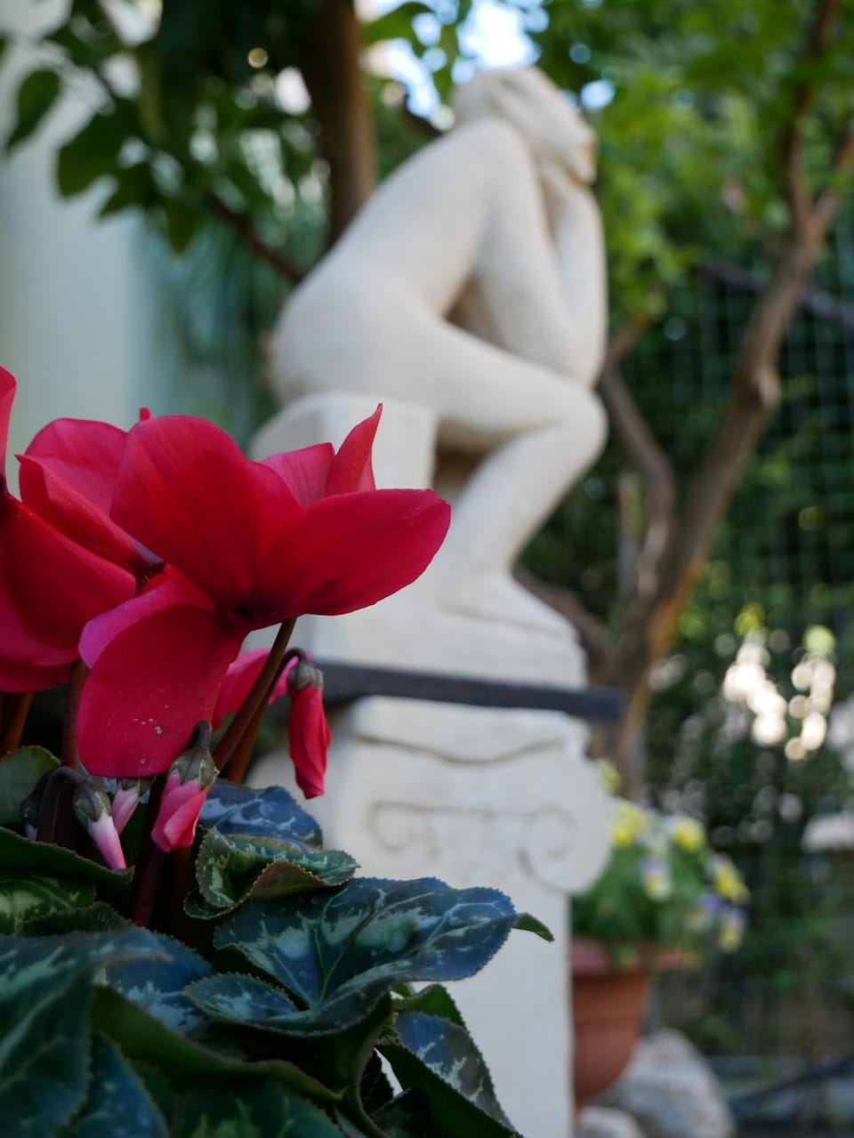 Garden, Decorative detail