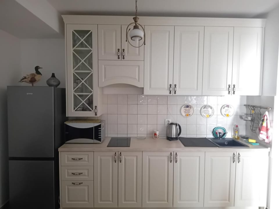 Olga Bashinskaya Apartment in Montenegro
