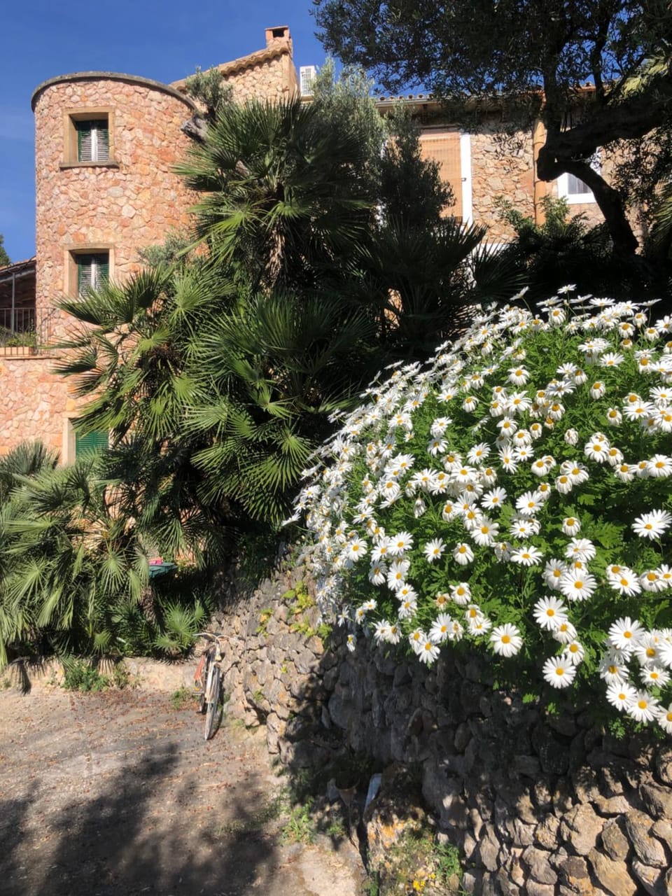 Garden, Garden view