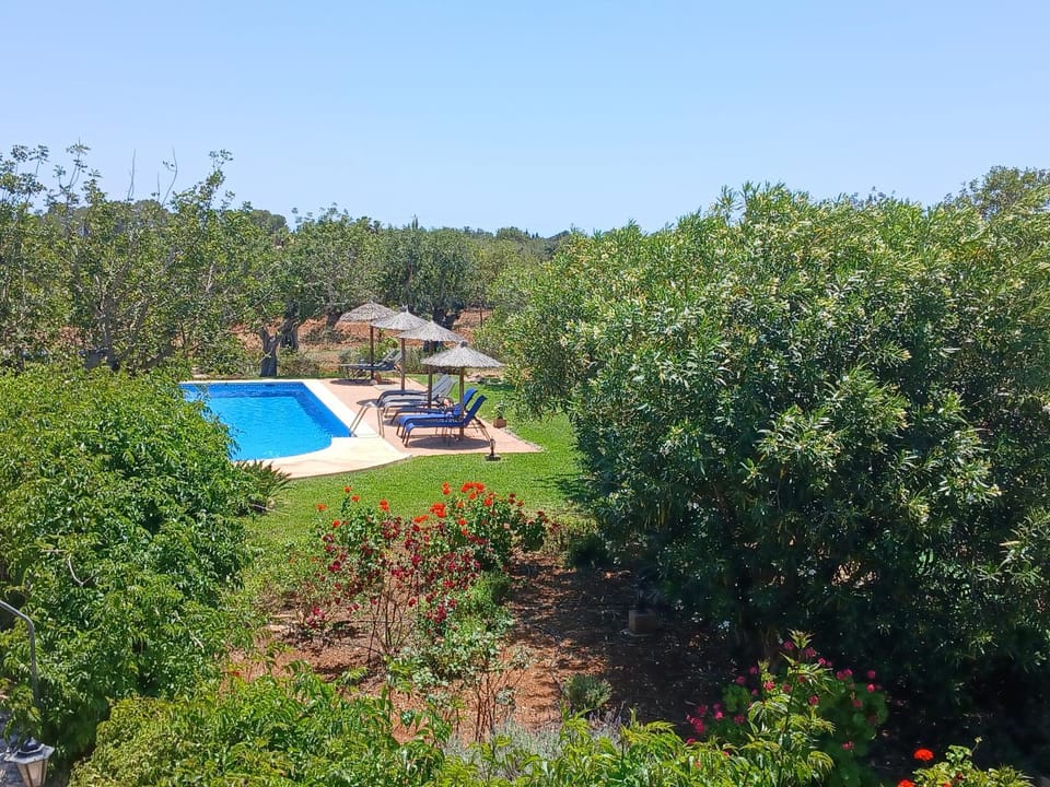Pool view