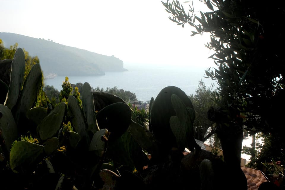 Natural landscape, Sea view