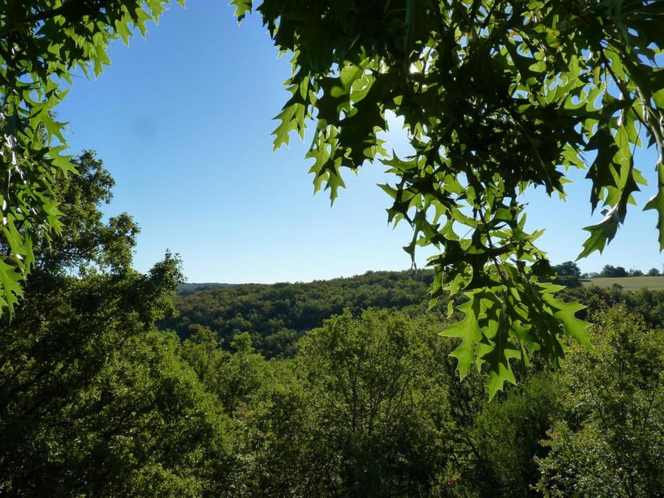 Spring, Natural landscape