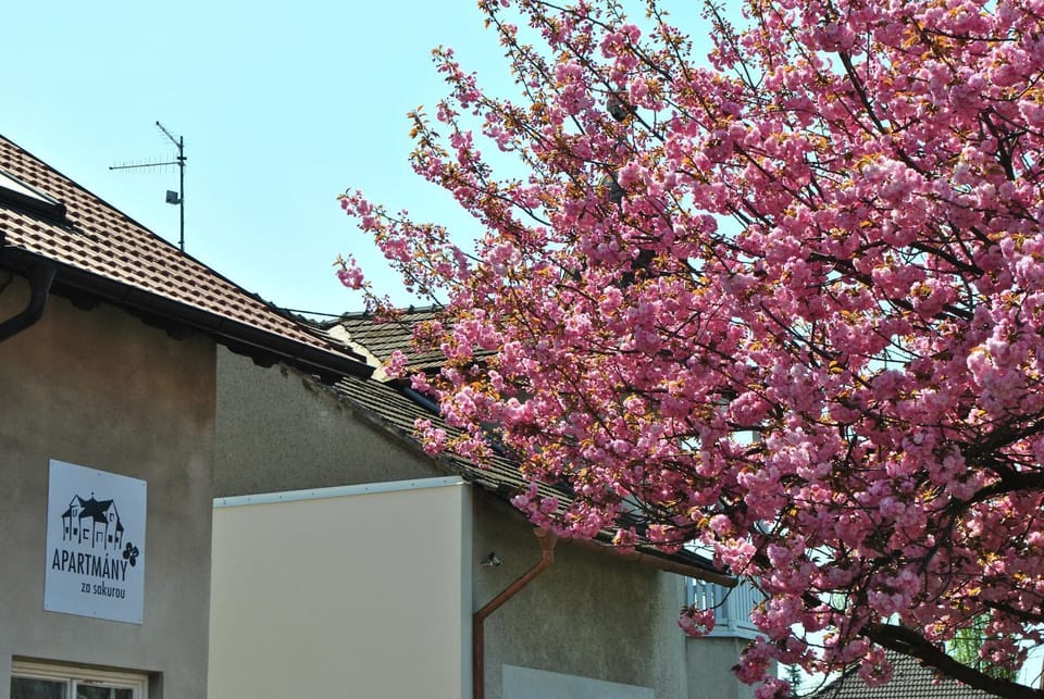 Spring, Natural landscape