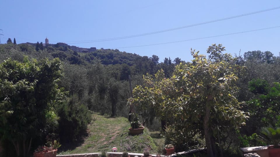 Il colle di Abramo casa vacanze Enrica Apartment in Pietrasanta