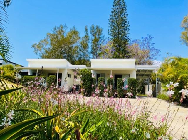 Garden view