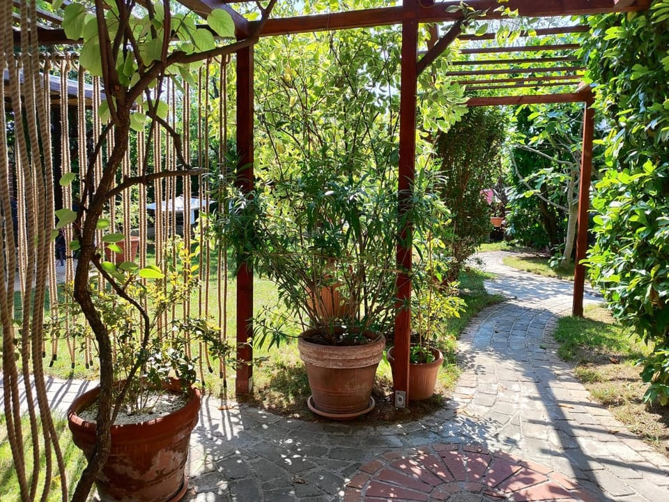 Michael's Nest House in Vienna