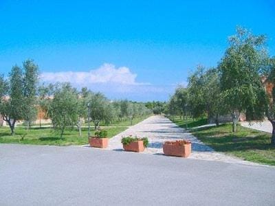 Day, Neighbourhood