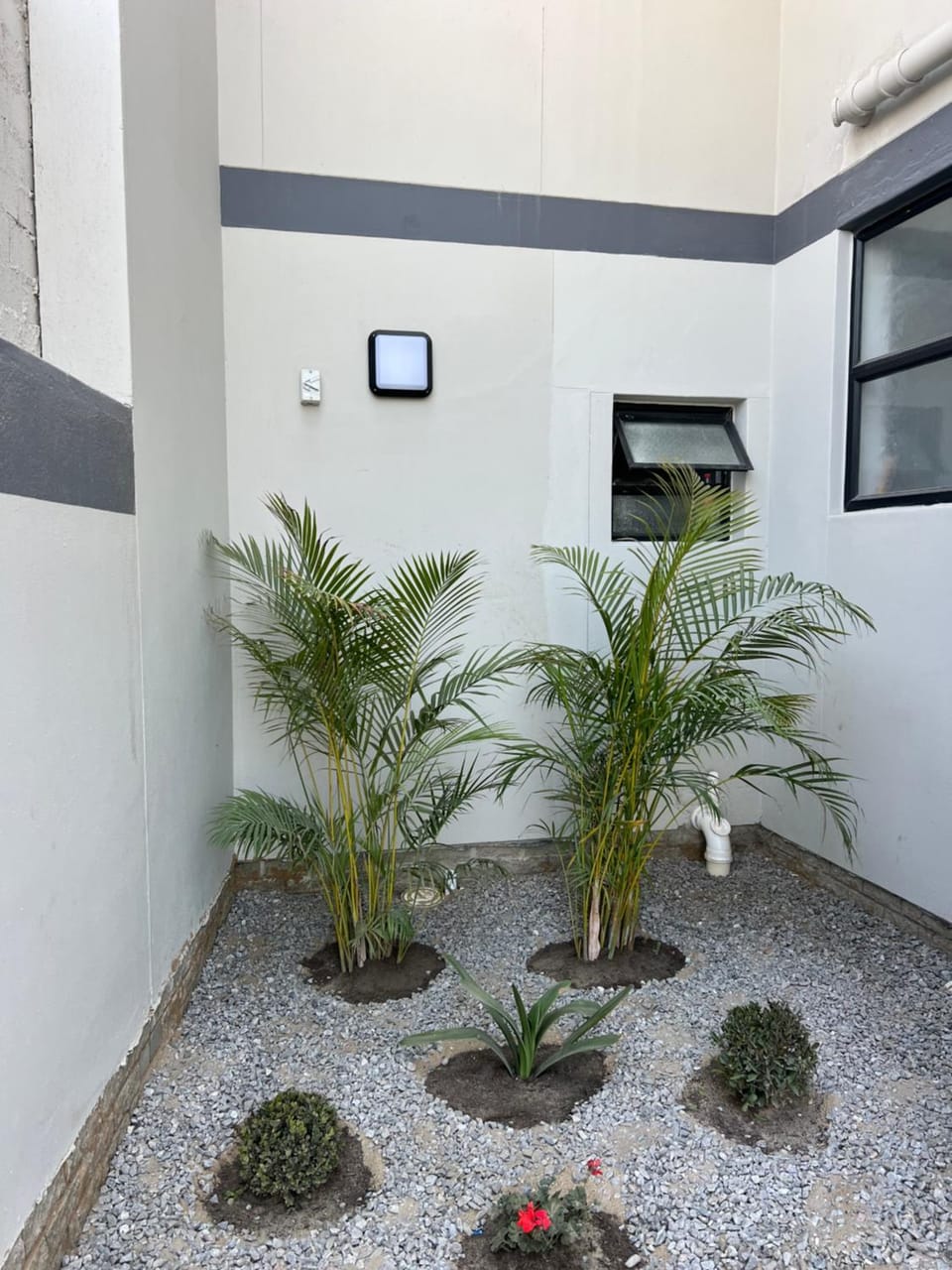 Garden view