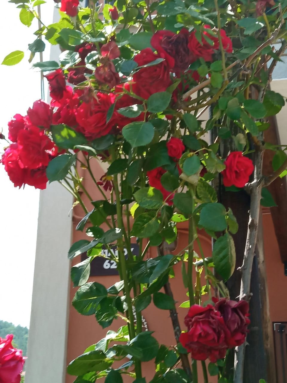 Marika House Apartment in Decentralized Administration of Macedonia and Thrace