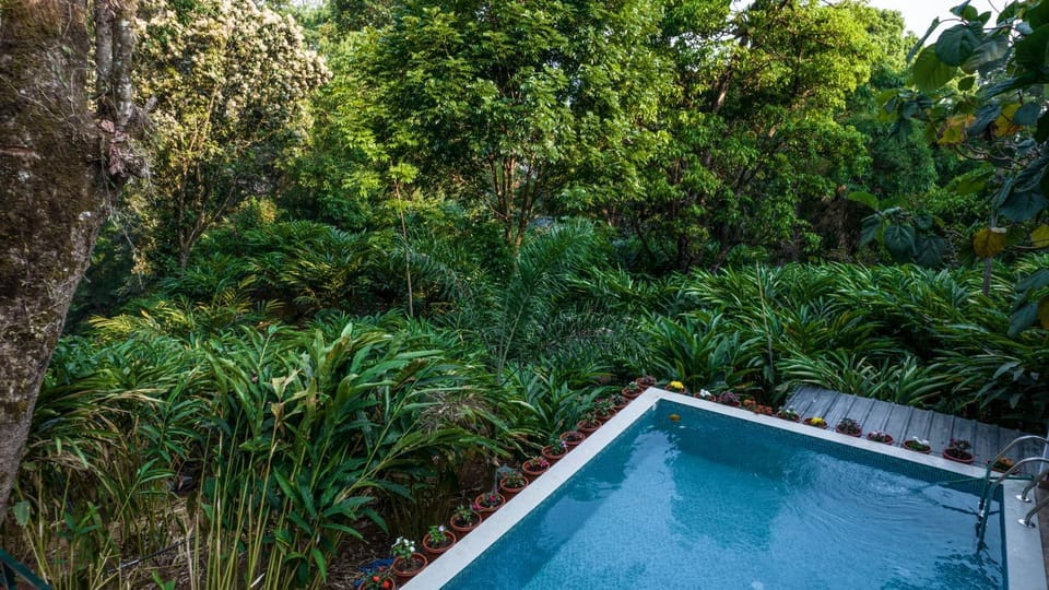 Pool view, Pool view, Swimming pool, Swimming pool