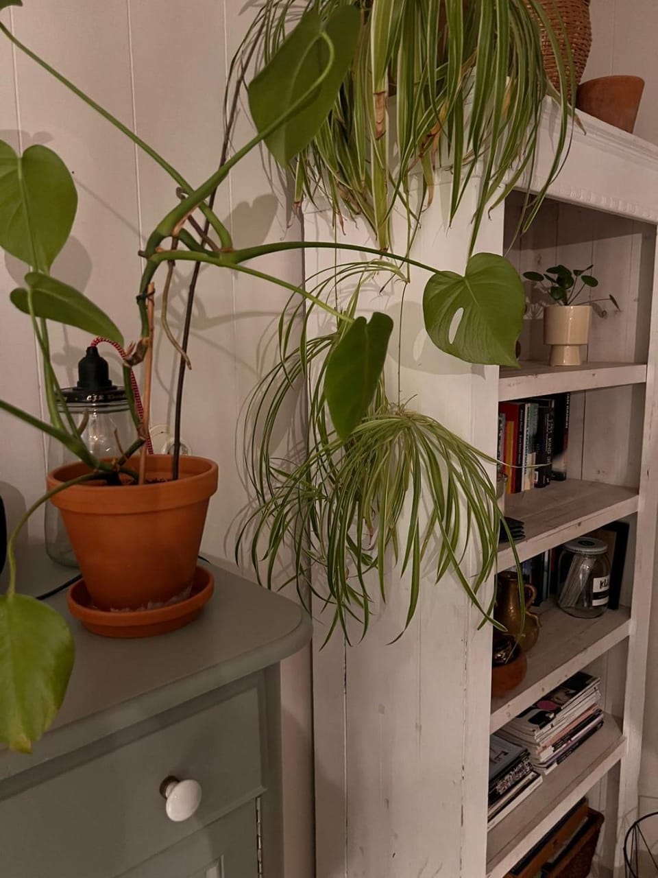 Cosy House House in Gelderland, Netherlands