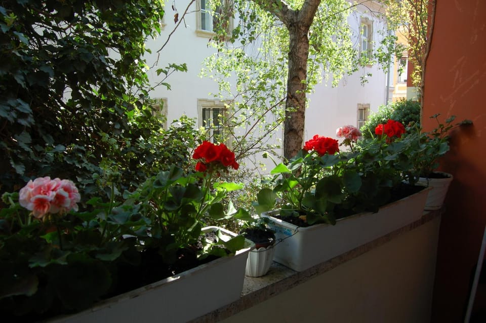 Buda Castle Apartments Apartment in Budapest
