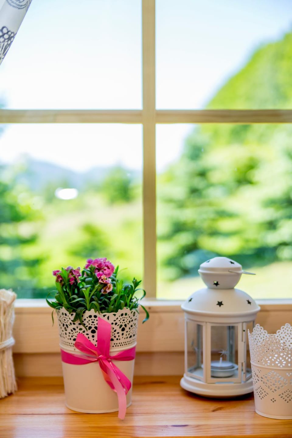 Day, Natural landscape, Garden, Garden view, Mountain view