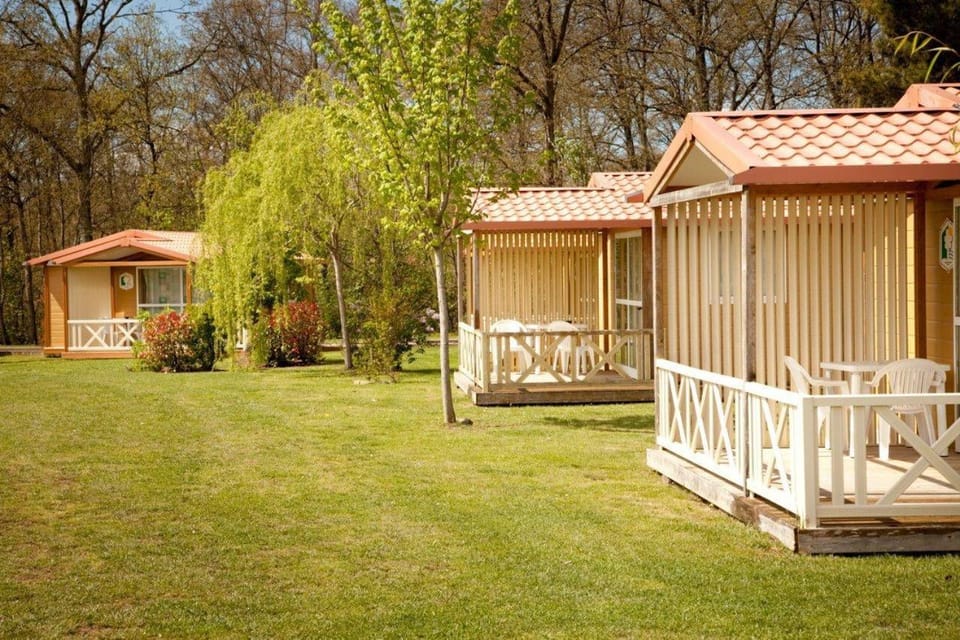 Other, Area and facilities