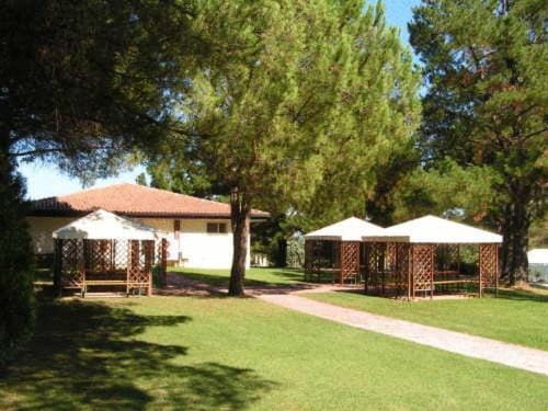 Patio, Garden, Garden view
