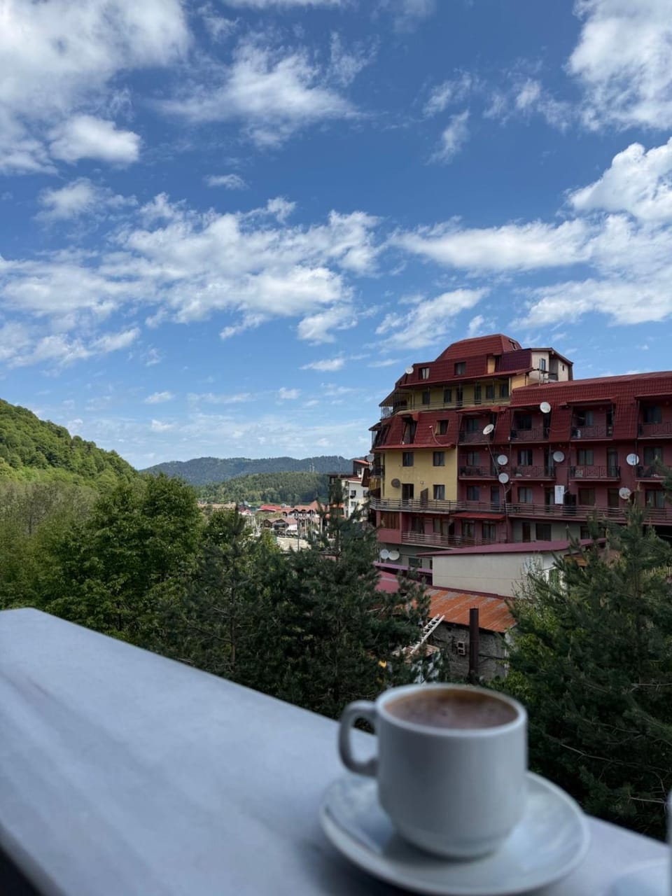 David APT on Bakuriani Orbi Palace Hotel in Georgia