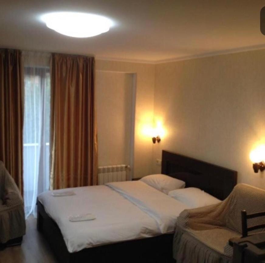 David APT on Bakuriani Orbi Palace Hotel in Georgia