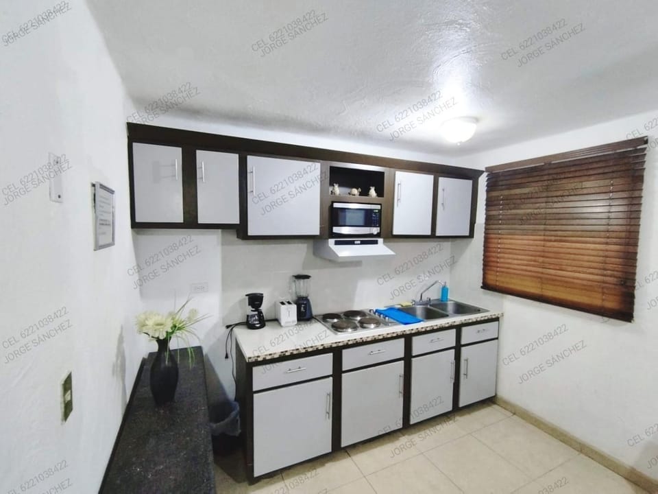 Coffee/tea facilities, Kitchen or kitchenette, minibar, stove, toaster