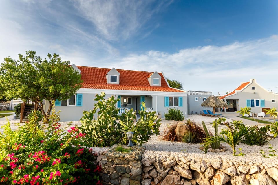 Property building, Day, Garden