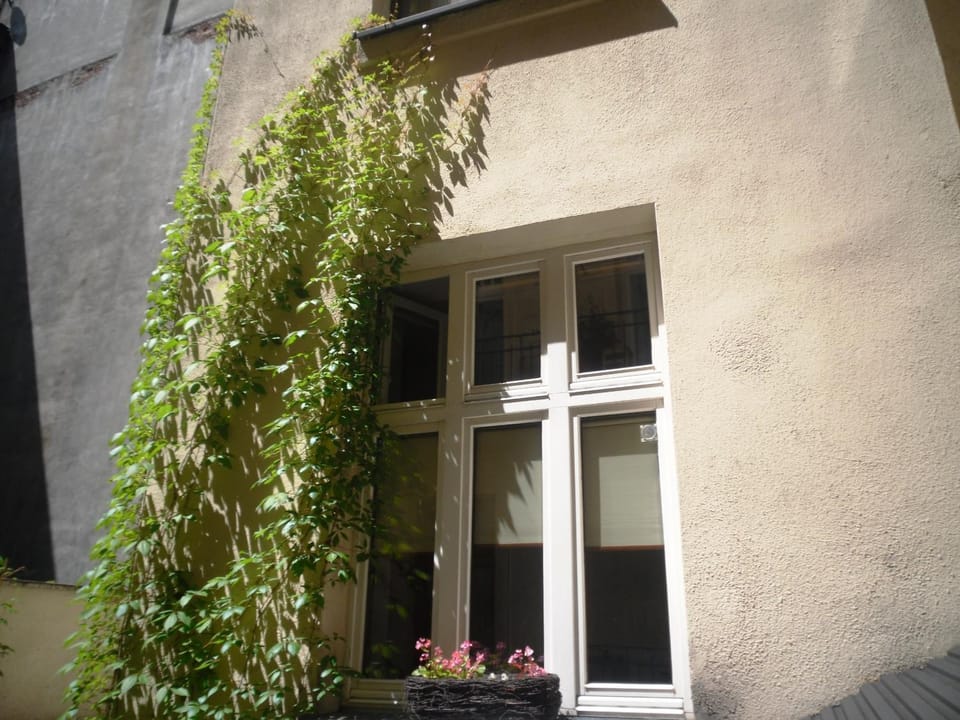 Property building, Patio