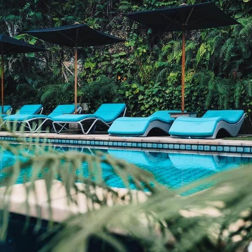 Day, Pool view, Swimming pool